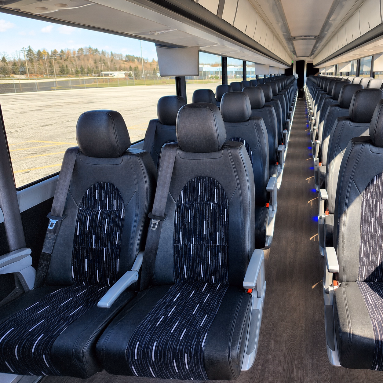 charter buses for science and nature field trips at bentsen rio grande valley state park