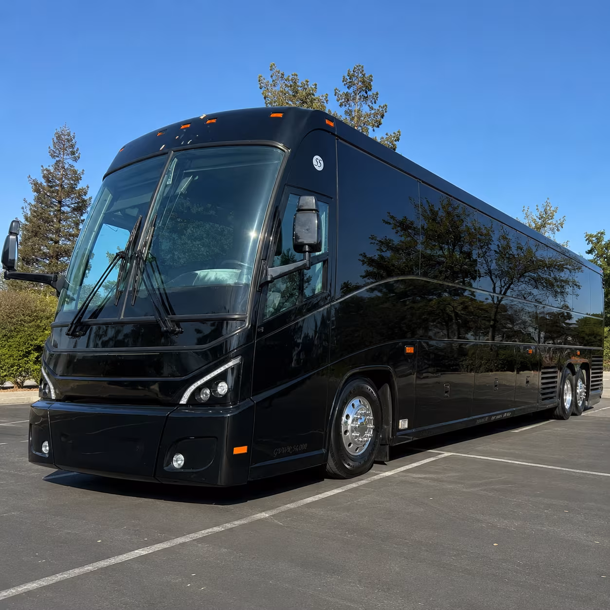 festival buses to borderfest in hidalgo