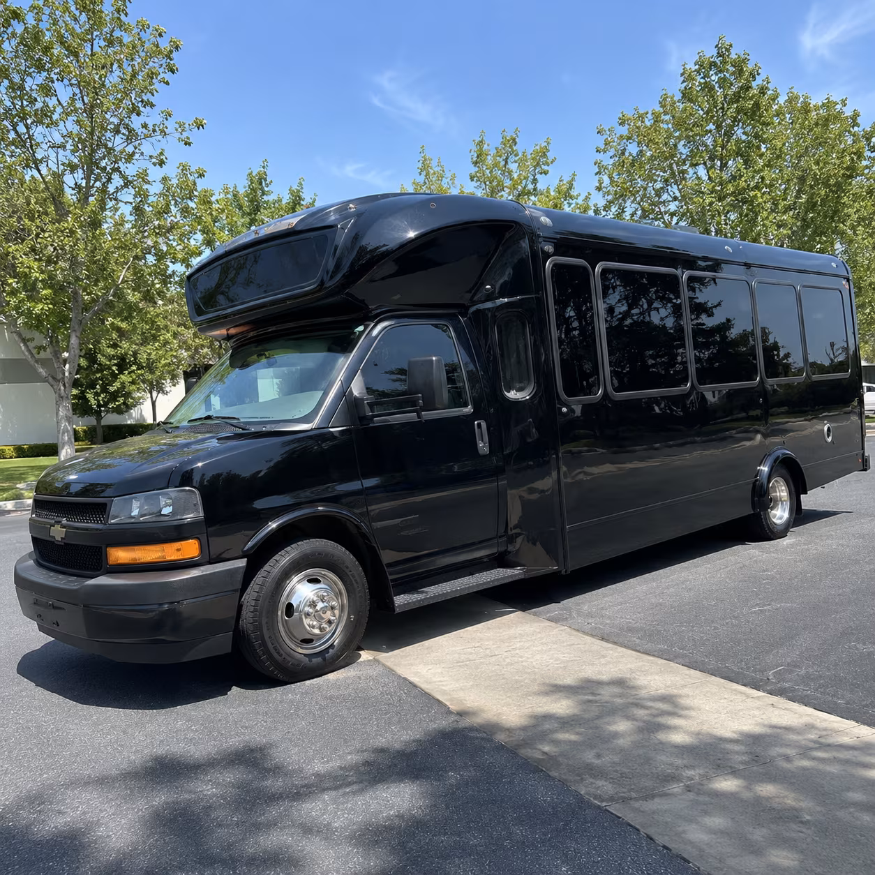 mcallen 15 passenger party bus